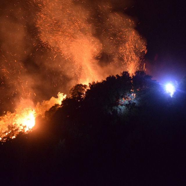 Manisa'da tarım arazisinden ormana sıçrayan yangın kontrol altına alındı