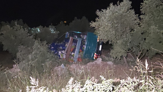 Bursa'da biber yüklü kamyon şarampole devrildi