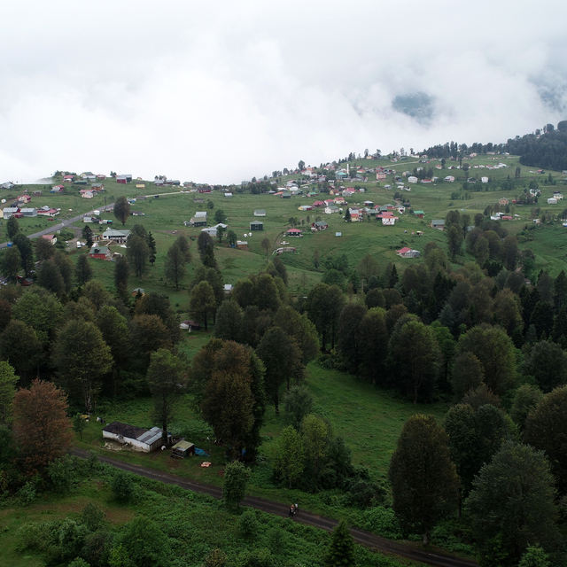 Karadeniz'in yaylalarına 'sıcak' göçü