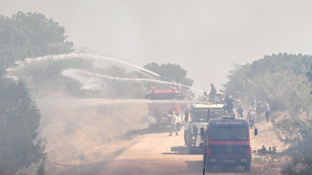 Kırklareli'nde anızlık alandan ormana sıçrayan yangın söndürüldü