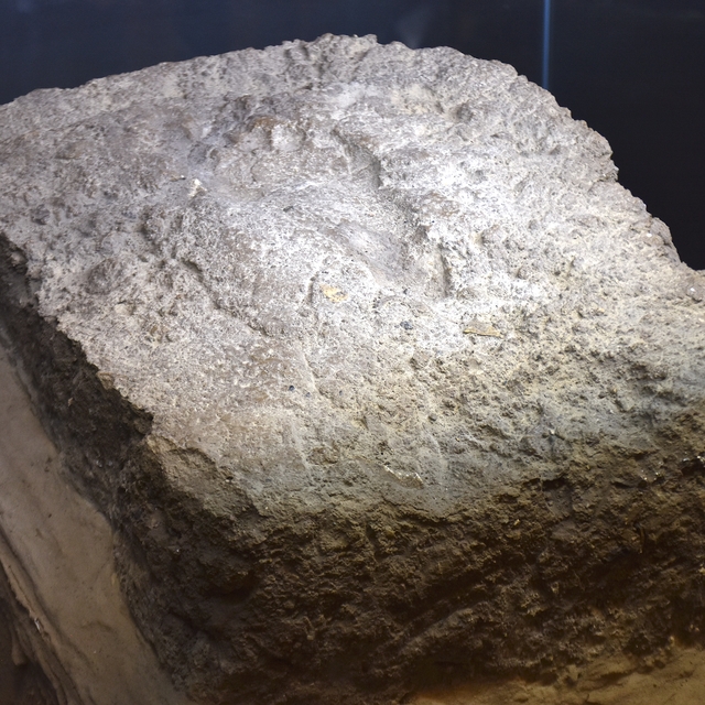 Urartulara ait kadın ayak izi Van Müzesi'nde ilk kez sergileniyor