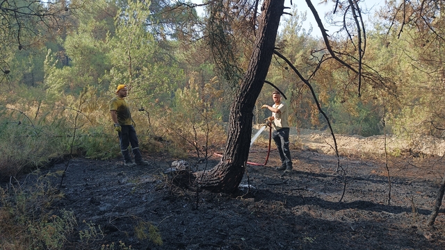 Bursa'da orman yangınları 3'üncü gününde