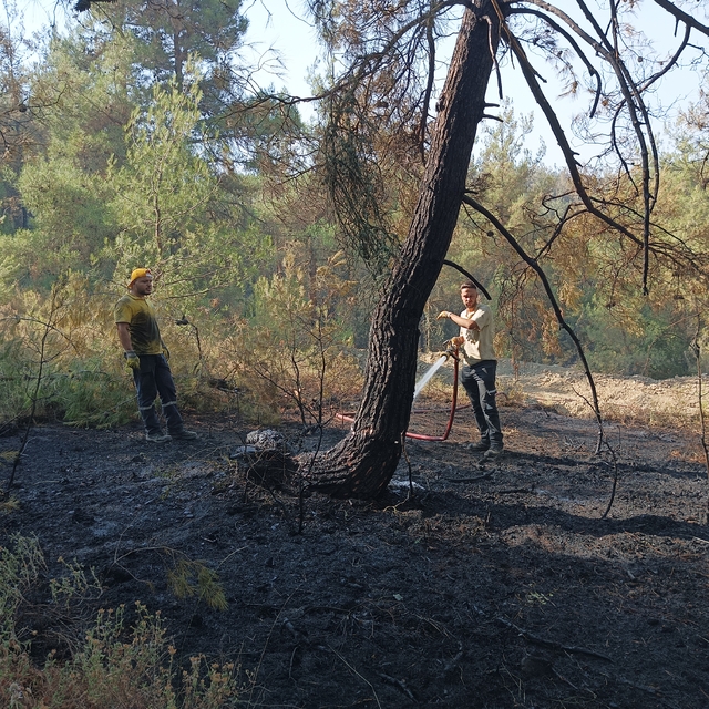Bursa'da orman yangınları 3'üncü gününde