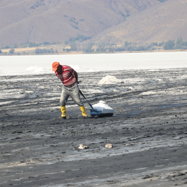 Tuzla Gölü'nde geleneksel yöntemle tuz hasadı başladı