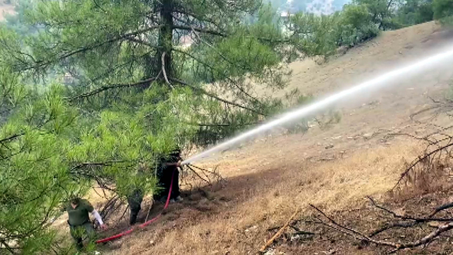Kahramanmaraş'taki orman yangını 3'üncü gününde