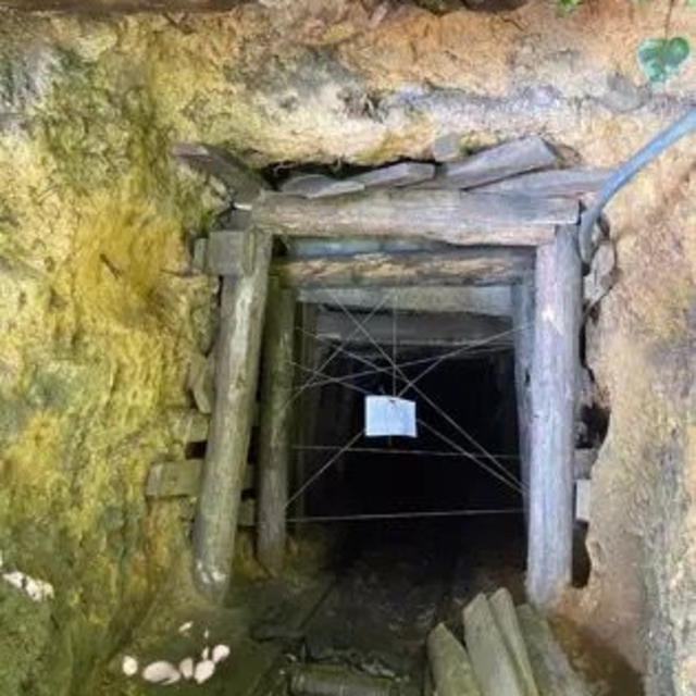 Zonguldak'ta 4 kaçak ocak imha edildi