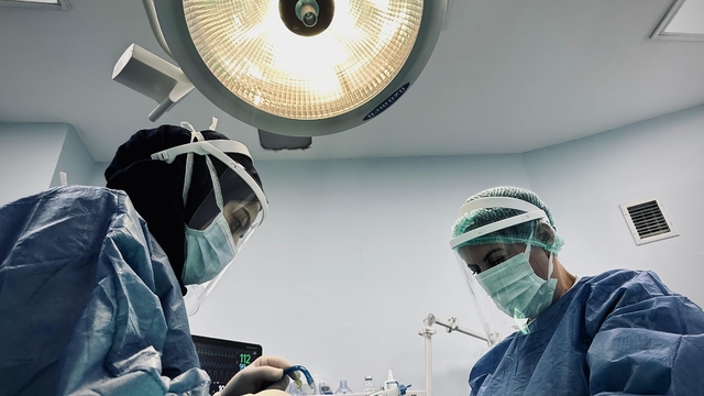 Batman Ağız ve Diş Sağlığı Hastanesi'nde 500 hasta genel anesteziyle tedavi edildi