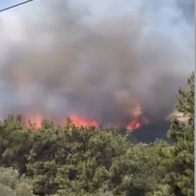 İzmir'de orman yangını