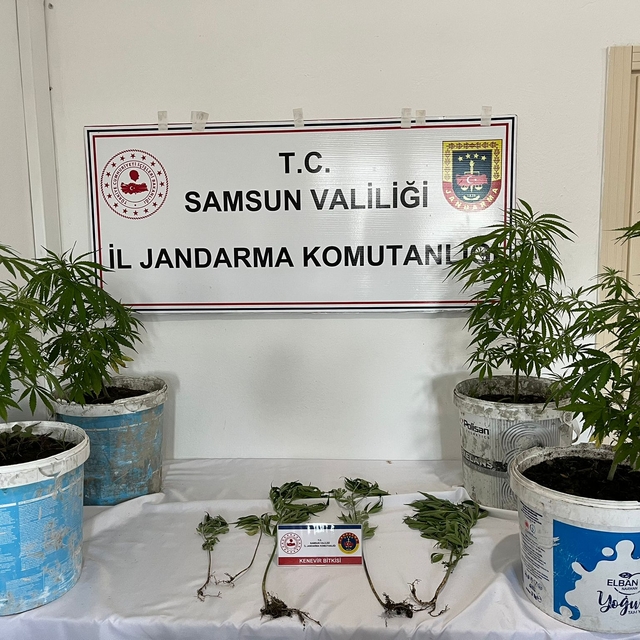 Salıpazarı'nda uyuşturucu operasyonunda 1 zanlı yakalandı