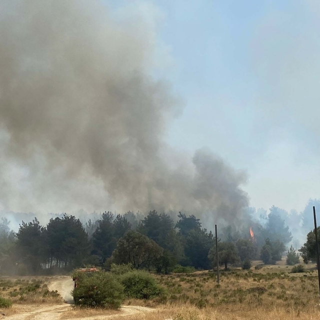 İzmir'de orman yangını (2)