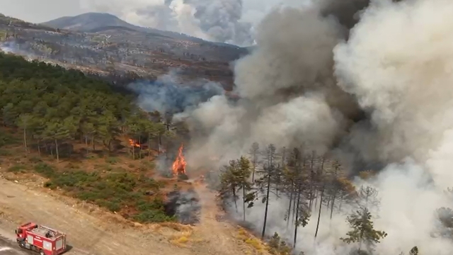 Bursa'da orman yangınları 3'üncü gününde (2)