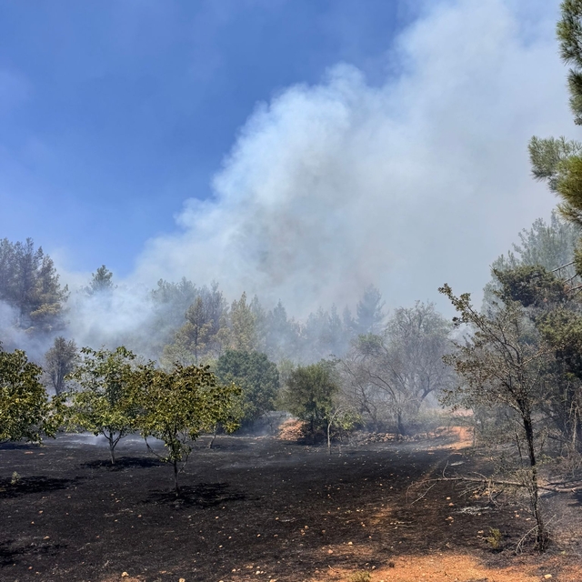 Tavas'ta çıkan orman yangını söndürüldü