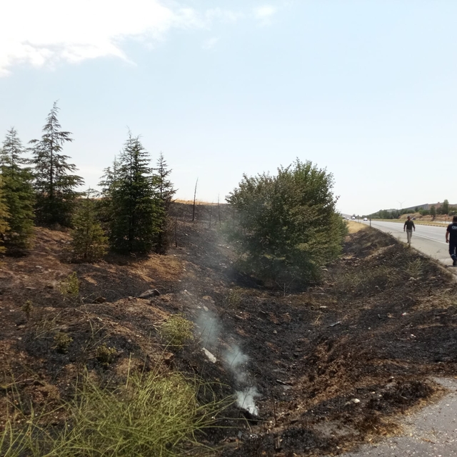 Sarayönü'nde çıkar yangında ağaçlar zarar gördü