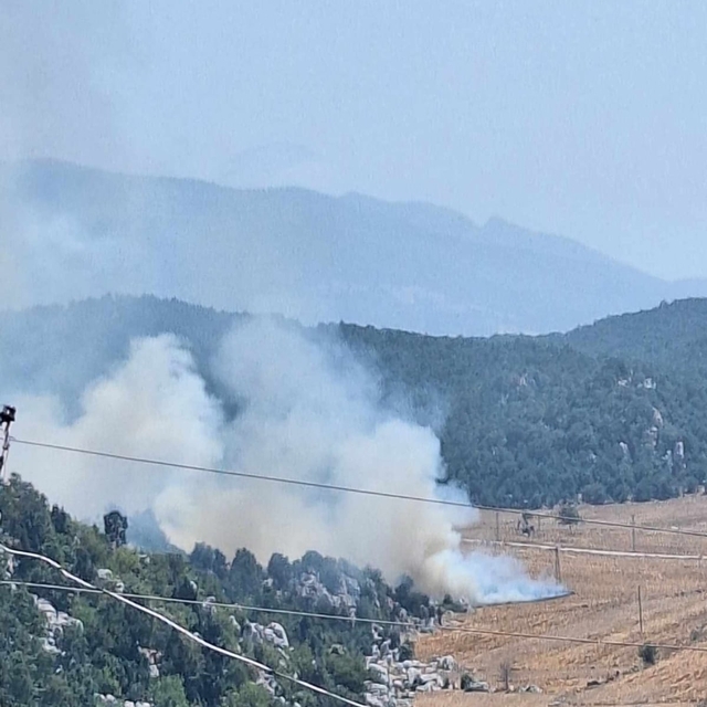 Kahramanmaraş'taki orman yangını 3'üncü gününde (2)