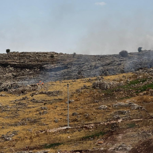 Mardin'de otluk alanda çıkan yangını söndürüldü