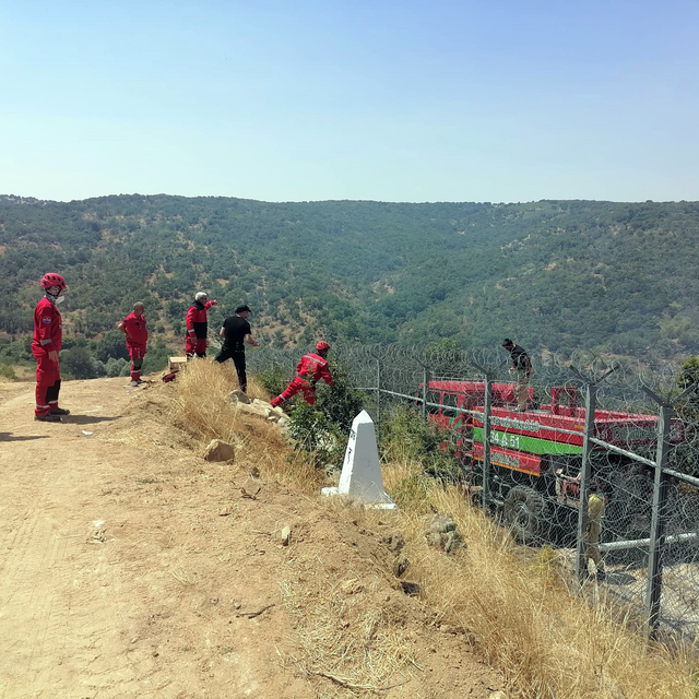 Bulgaristan'da çıkıp Türkiye sınırına ulaşan orman yangını, kontrol altına...