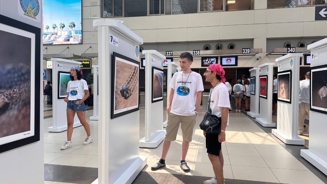 "Akdeniz'de Nesli Tehlike Altında Olan Türler" fotoğraf sergisi Antalya Havalimanı'nda açıldı
