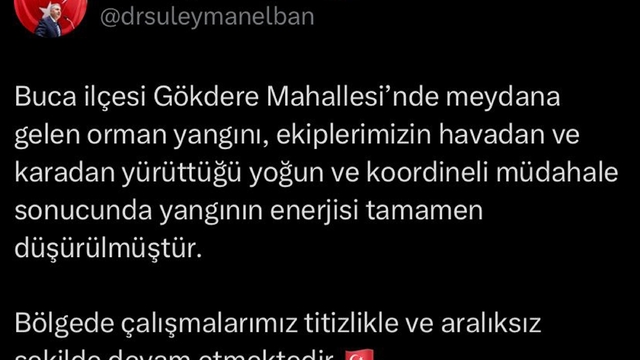 İzmir'de orman yangını (4)