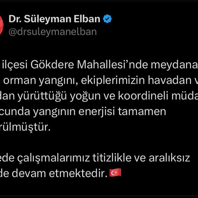 İzmir'de orman yangını (4)