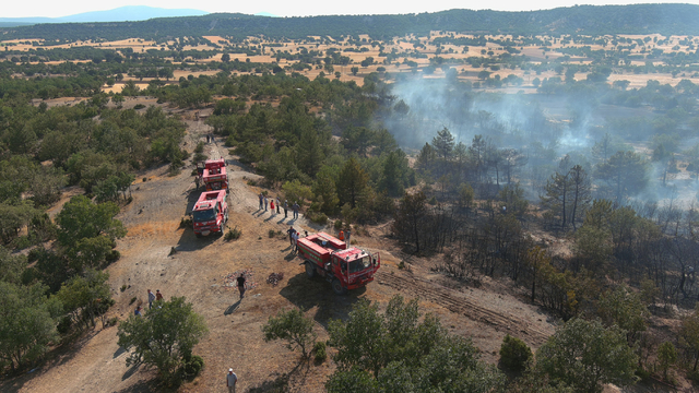 Kütahya'da ormanlık alandaki yangın kontrol altına alındı