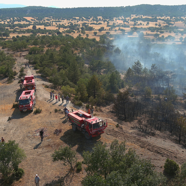 Kütahya'da ormanlık alandaki yangın kontrol altına alındı