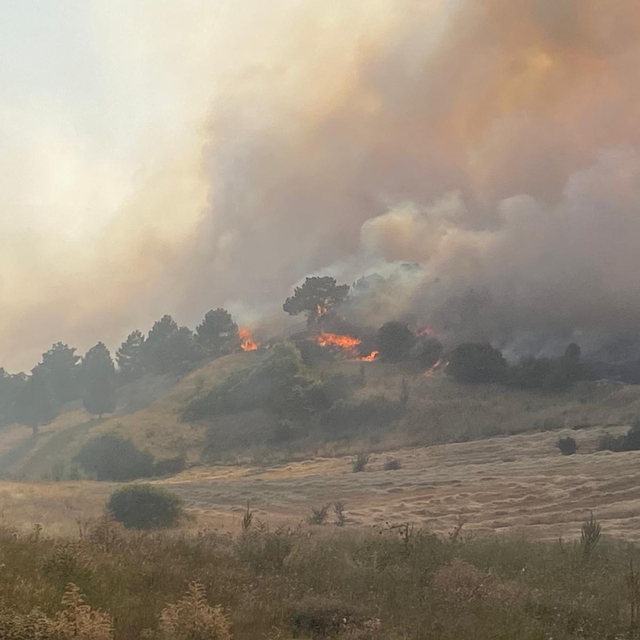 Kütahya'da ormanlık alanda çıkan yangına müdahale ediliyor