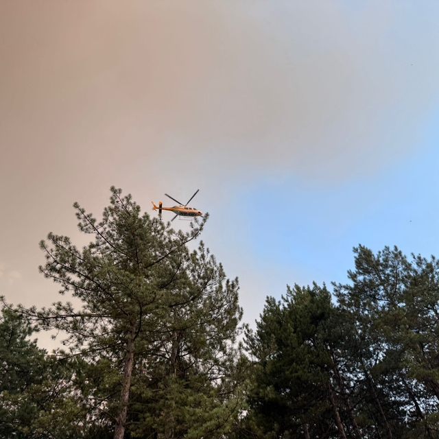 Karabük'te çıkan orman yangınına müdahale ediliyor