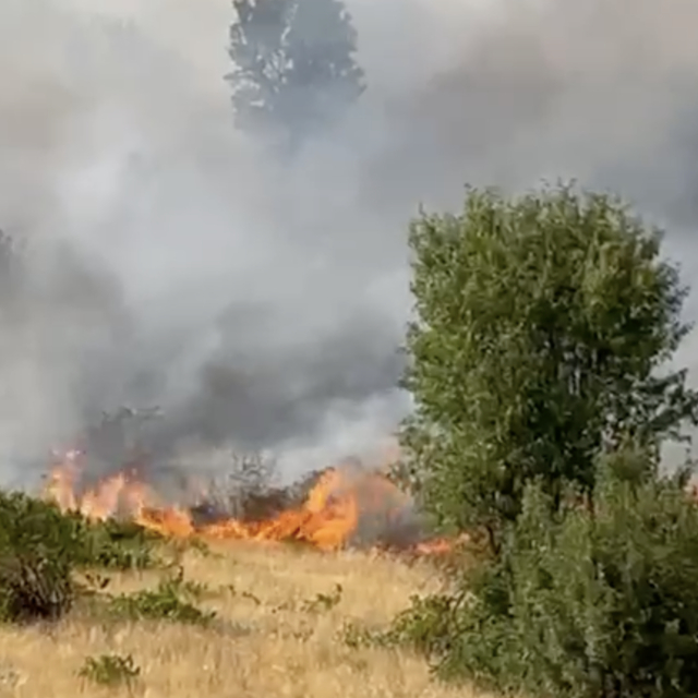 Diyarbakır'da örtü yangınına ekiplerin müdahalesi sürüyor