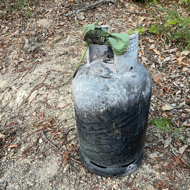 Hendek'te orman yangını kontrol altına alındı: 2 gözaltı