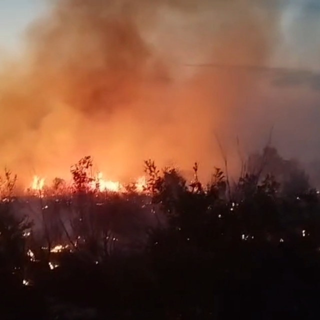 Diyarbakır'da örtü yangınına ekiplerin müdahalesi sürüyor (2)