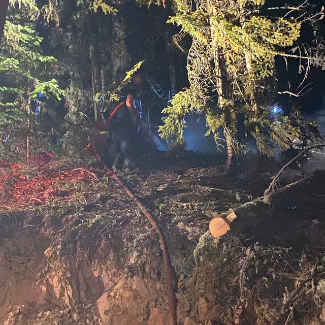 Gümüşhane'de ormanlık alanda çıkan yangın söndürüldü