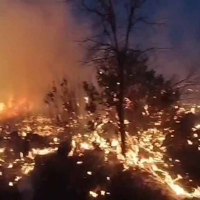 Diyarbakır'da örtü yangınları söndürüldü