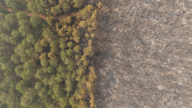 Bursa'daki orman yangını 4'üncü gününde; yanan alanlar dronla görüntülendi