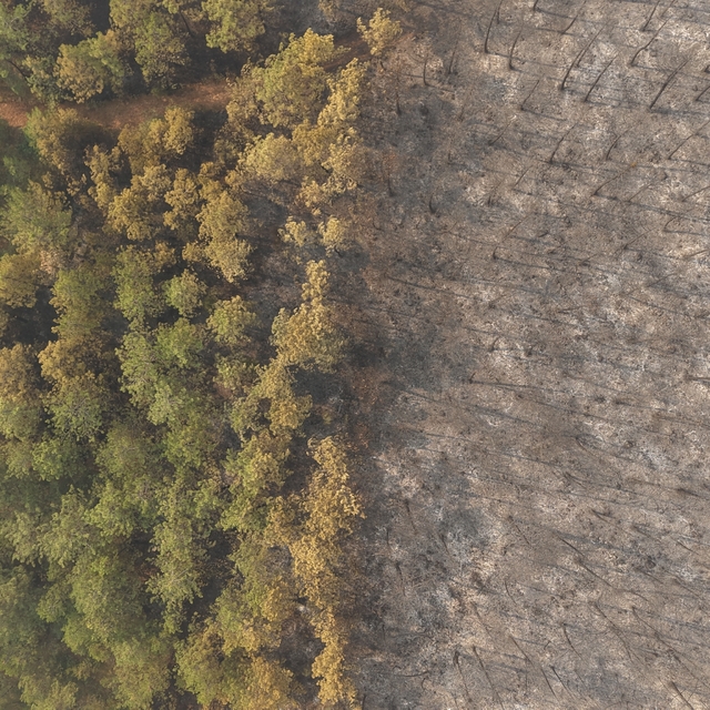 Bursa'daki orman yangını 4'üncü gününde; yanan alanlar dronla görüntülendi