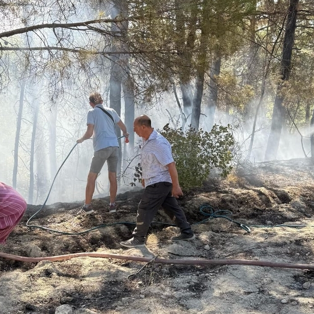 Buldan'da ormanda çıkan yangın kontrol altına alındı