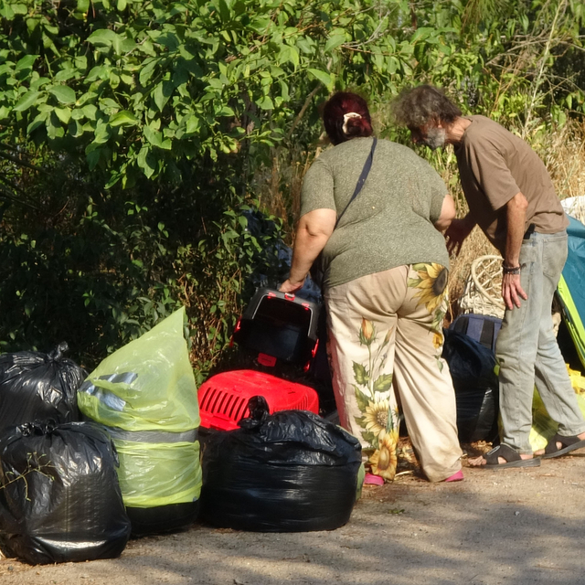 Boşaltılan evde hasta 5 kedi daha kurtarıldı