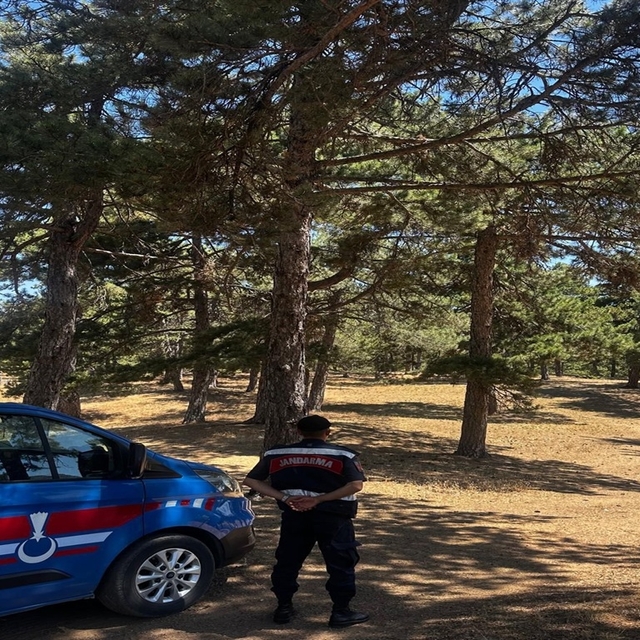 Sakarya'da 'havai fişek' yasağı