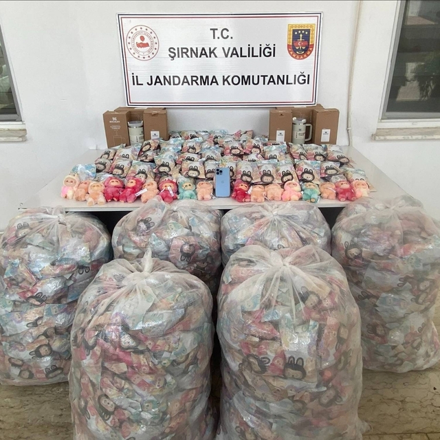 Şırnak'ta kaçakçılık ve asayiş operasyonlarında 19 kişi hakkında işlem yapı...