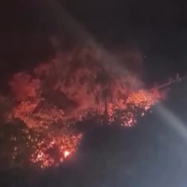 Attıkları havai fişek yangın çıkardı; 4 gözaltı