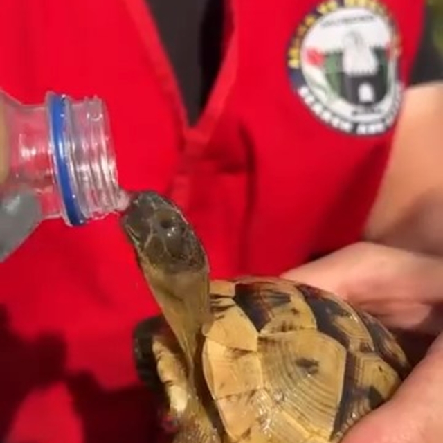 Bursa'daki orman yangını 4'üncü gününde; yanan alanlar dronla görüntülendi...
