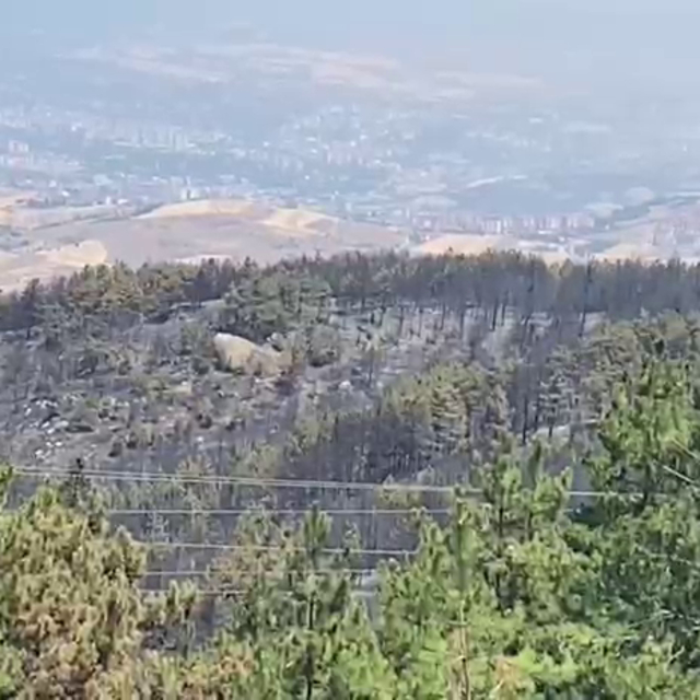 Karabük'teki 3 yangından biri kontrol altında