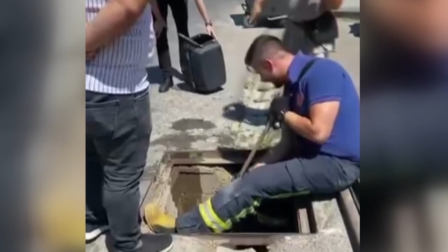 Yağmur suyu kanalında doğan kedileri itfaiye kurtardı