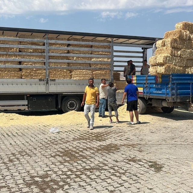 Çankırılı çiftçilerden, Karabüklü hayvan sahiplerine saman yardımı
