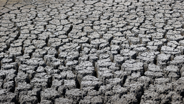 Kırklareli'nde kuruyan gölette balık ölümleri