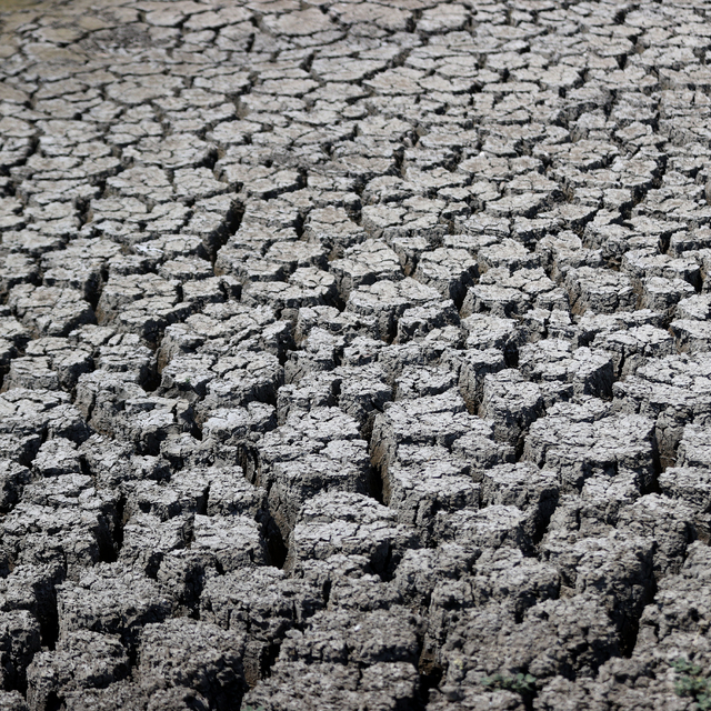 Kırklareli'nde kuruyan gölette balık ölümleri