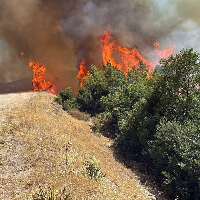 Manisa'da tarım arazisinde yangın