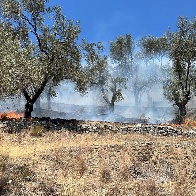 Balıkesir'de tarım arazisinde çıkan yangın 2 saatte kontrol altına alındı