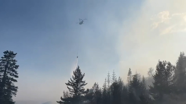 Çankırı'da orman yangını (2)