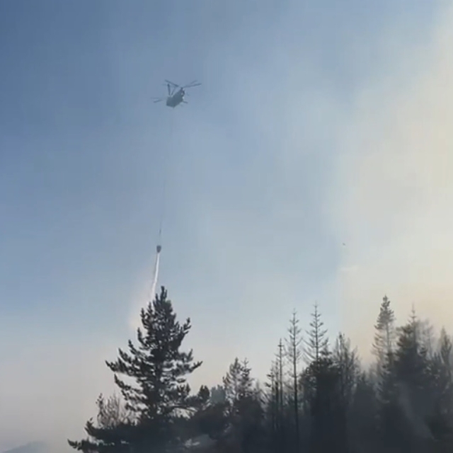 Çankırı'da orman yangını (2)