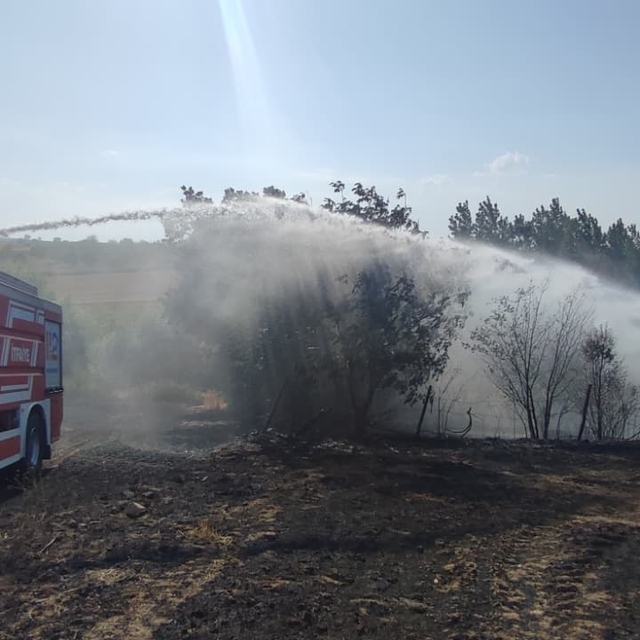 Samsun'da ekili arazide çıkan yangında 40 dönüm alan zarar gördü
